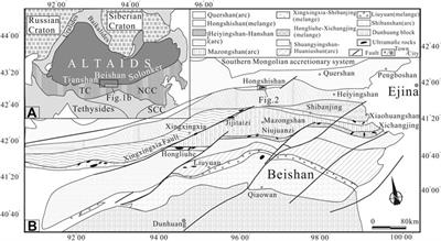 Petrology, Geochemical Characteristics, Tectonic Setting, and Implications for Chromite and PGE Mineralization of the Hongshishan Alaskan-Type Complex in the Beishan Orogenic Collage, North West China